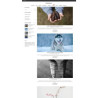 قالب Panda PrestaShop Template - قالب پاندا برای پرستاشاپ